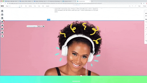 Wix or Webflow Website Service
